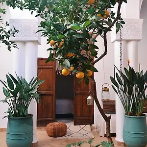 https://nosade-venue.marrakeshhotelsmorocco.com